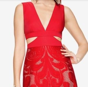 BCBG Maxazria Marilyne Cut Out Lace Gown
